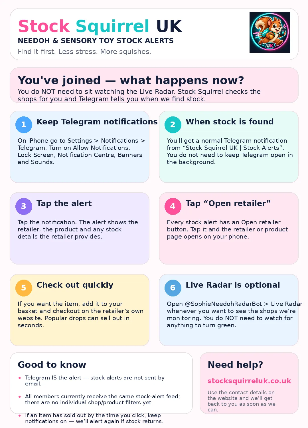 Stock Squirrel UK what happens next guide